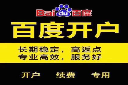 百度SEM推广案例解析：成功秘诀大公开