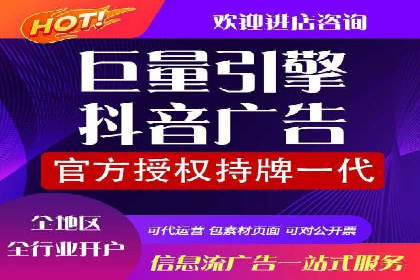 竞价排名案例：跨平台推广效果分析